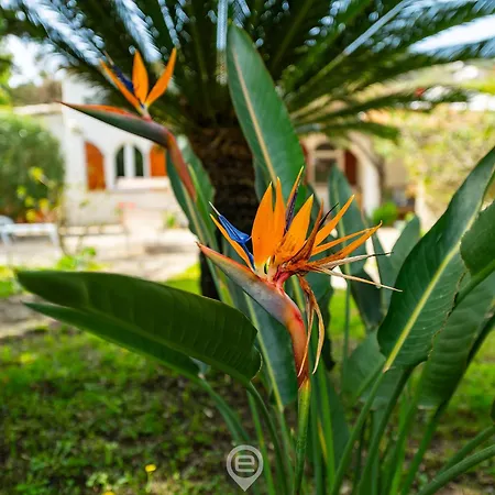 Casa vacanze Marcella - Beachside Escape